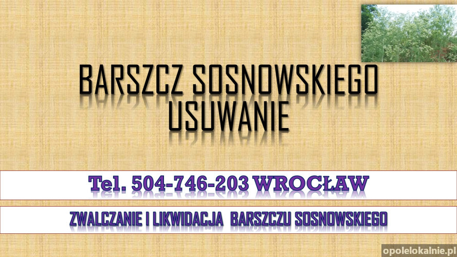 Likwidacja barszczu Sosnowskiego, tel. 504-746-203,  usuwanie