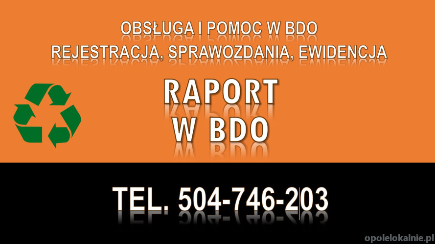 Sprawozdanie do BDO. T. 504746203. Wykonanie raportu, cennik